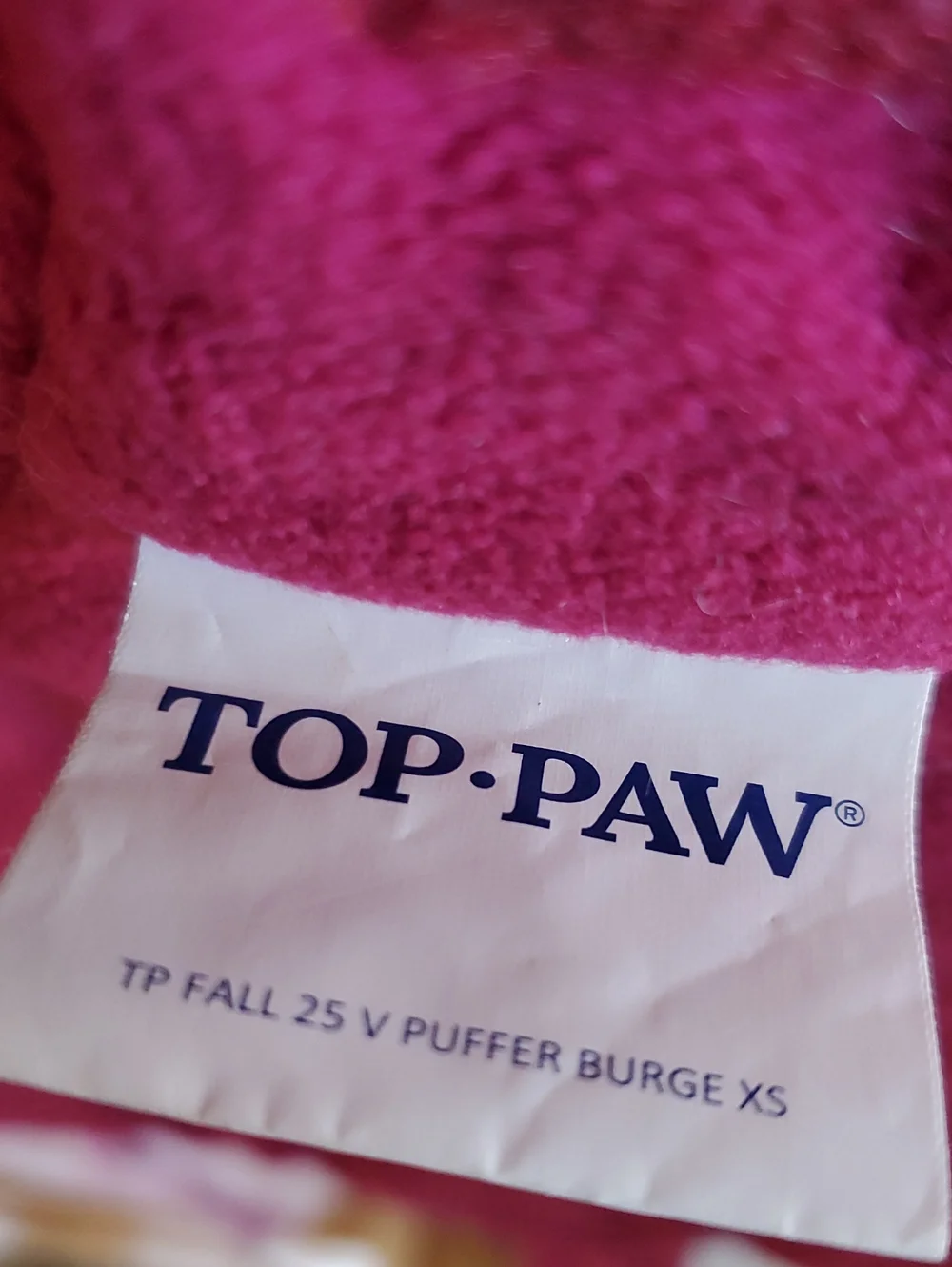 XS Dog Sweatshirt and Puffer Vest
